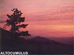 Precipitation is likely 15 to 20 hours after the appearance of altocumulus clouds.